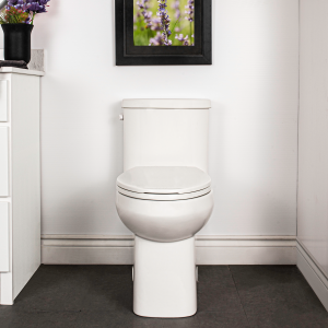 Cali One Piece Toilet Concealed Elongated Plus Height Bowl