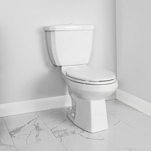 CAMRI-4720BLW-Toilet-Roomscene-Angled-L
