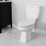 CAMRI-4720BLW-Toilet-Roomscene-Angled-R