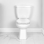 CAMRI-4720BLW-Toilet-Roomscene-FrontCAMRI-4720BLW-Toilet-Roomscene-Front