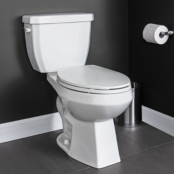 Case Two Piece Toilet Elongated Plus Height Bowl