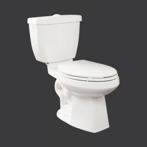 Camri Two Piece Toilet Dual Flush Elongated Bowl