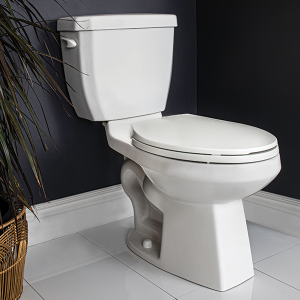 Cato Two Piece Toilet Elongated Bowl