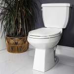 Cato Two Piece Toilet Elongated Bowl