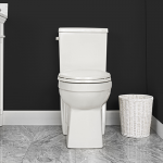Cayla Two Piece Toilet Concealed Elongated Plus Height Bowl