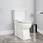 Vieira Two Piece Toilet Concealed Elongated Plus Height Bowl
