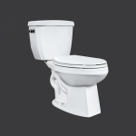 Cody Two Piece Toilet Elongated Bowl