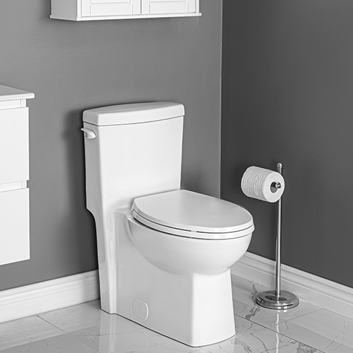 Carlaw One Piece Toilet Concealed Elongated Bowl