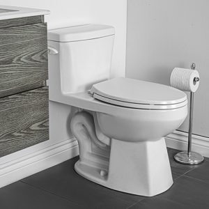 Wicklow One Piece Toilet Compact Elongated Plus Height Bowl