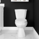 Rowe Two Piece Toilet Elongated Plus Height Bowl