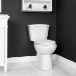 Rowe Two Piece Toilet Elongated Plus Height Bowl