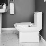 Wilton One Piece Toilet 16½" Plus Height for greater comfort Room Scene Elongated Bowl Ultra high efficiency toilet 3.0LPF / 0.8GPF